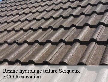 Résine hydrofuge toiture  serqueux-76440 ECO Rénovation