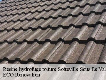 Résine hydrofuge toiture  sotteville-sous-le-val-76410 ECO Rénovation