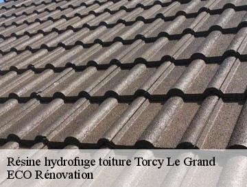 Résine hydrofuge toiture torcy-le-grand-76590 ECO Rénovation