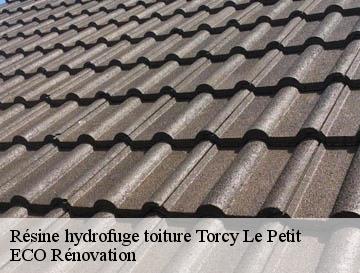 Résine hydrofuge toiture  torcy-le-petit-76590 ECO Rénovation