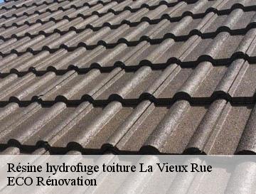 Résine hydrofuge toiture  la-vieux-rue-76160 ECO Rénovation