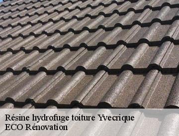 Résine hydrofuge toiture  yvecrique-76560 ECO Rénovation