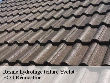 Résine hydrofuge toiture  yvetot-76190 ECO Rénovation
