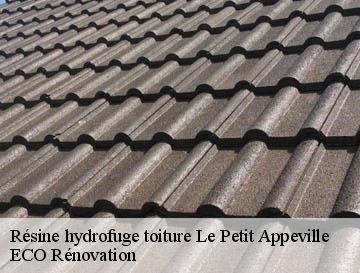 Résine hydrofuge toiture  le-petit-appeville-76550 ECO Rénovation