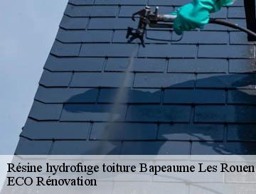 Résine hydrofuge toiture  bapeaume-les-rouen-76380 ECO Rénovation
