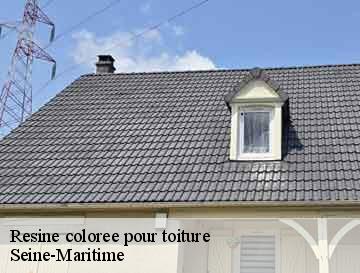 Resine coloree pour toiture 76 Seine-Maritime  ECO Rénovation
