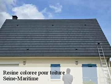 Resine coloree pour toiture 76 Seine-Maritime  ECO Rénovation