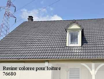 Resine coloree pour toiture  bellencombre-76680 ECO Rénovation
