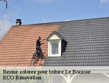 Resine coloree pour toiture  le-bocasse-76690 ECO Rénovation