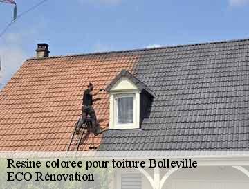 Resine coloree pour toiture  bolleville-76210 ECO Rénovation