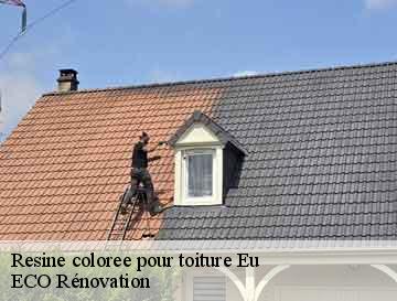 Resine coloree pour toiture eu-76260 ECO Rénovation