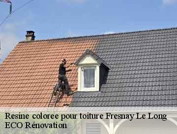 Resine coloree pour toiture  fresnay-le-long-76850 ECO Rénovation