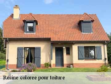 Resine coloree pour toiture  glicourt-76630 ECO Rénovation