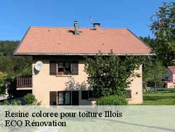 Resine coloree pour toiture  illois-76390 ECO Rénovation