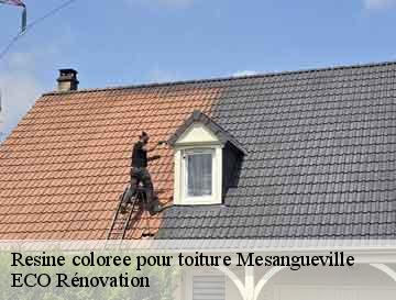 Resine coloree pour toiture  mesangueville-76780 ECO Rénovation