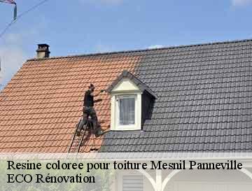 Resine coloree pour toiture mesnil-panneville-76570 ECO Rénovation