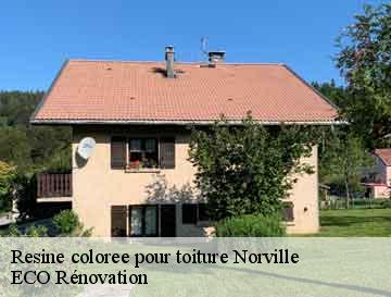 Resine coloree pour toiture  norville-76330 ECO Rénovation