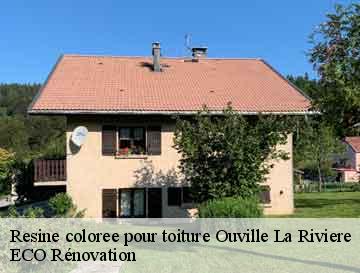 Resine coloree pour toiture  ouville-la-riviere-76860 ECO Rénovation