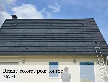 Resine coloree pour toiture  rebets-76750 ECO Rénovation