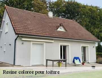 Resine coloree pour toiture  saint-denis-sur-scie-76890 ECO Rénovation