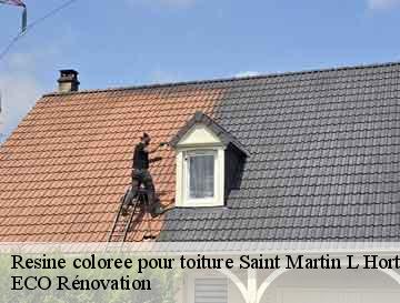 Resine coloree pour toiture  saint-martin-l-hortier-76270 ECO Rénovation