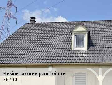 Resine coloree pour toiture  tocqueville-en-caux-76730 ECO Rénovation