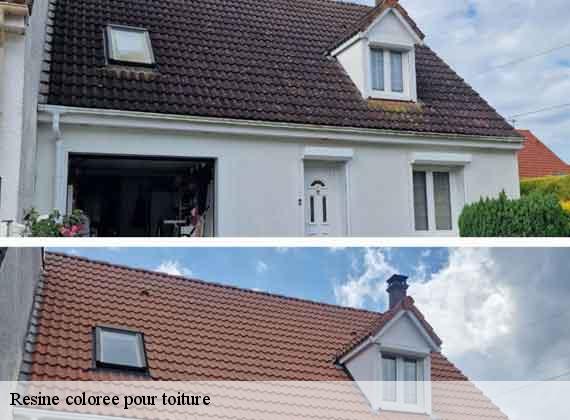 Resine coloree pour toiture tourville-les-ifs-76400 ECO Rénovation